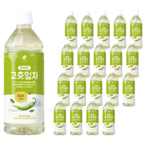 순수람 원기2호 고춧잎차, 500ml, 20개