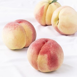 GAP 인증 소백산 여우숲 당도선별 아삭한 복숭아, 1개, 1.8kg(4입)