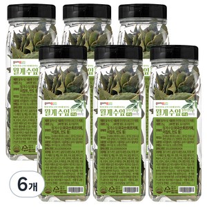곰곰 월계수잎, 25g, 6개