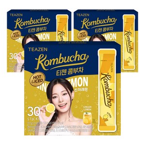 티젠 콤부차 진저레몬, 5g, 30개입, 3개