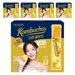 티젠 콤부차 진저레몬, 5g, 30개입, 5개