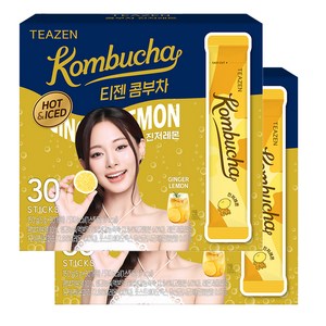 티젠 콤부차 진저레몬, 5g, 30개입, 2개