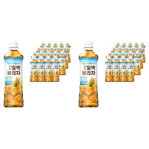 광동 밀싹 보리차, 500ml, 40개