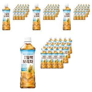 광동 밀싹 보리차, 500ml, 80개