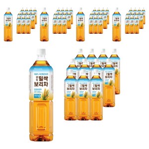 광동 밀싹 보리차 음료, 1.5L, 60개