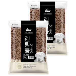 더담은 렌틸콩 렌즈콩, 1kg, 2개