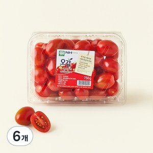 충남오감 세도농협 GAP 인증 대추방울토마토, 750g, 6박스