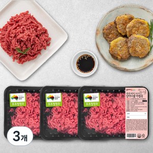 곰곰 호주산 소고기 앞다리살 다짐육 (냉장), 300g, 3개