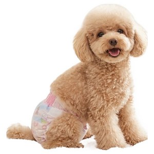 펫코노미 강아지 칭찬해 기저귀 암컷용, 소형, 10개입, 6세트