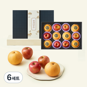 정과담음 사과 6입 + 배 6입 혼합선물세트 1호, 5kg, 6세트