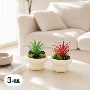 조아트 조화 화산석 다육 화분 2종 세트 이오난사, 크림(화분), 그린, 레드(다육), 3세트