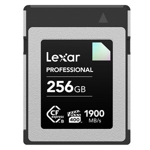 렉사 Professional CFexpress Type B DIAMOND 메모리카드, 256GB, 1개