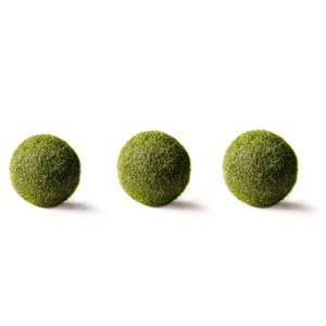 세남자바스켓 마리모 그린 중, 3개