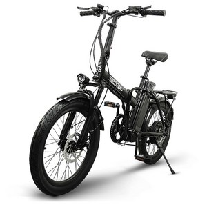 레이윙 디스커버리 엔트리 10.4A 36V 350W 배터리 접이식 전기자전거 50cm F20E, 스틸, 블랙