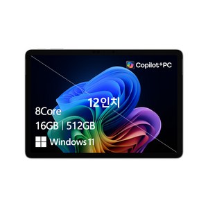 마이크로소프트 2025 서피스 프로 11 스냅드래곤, 플래티넘, 512GB, 16GB, WIN11 Home, EP2-27671 골드박스 특가