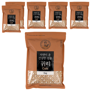 귀리팜 정읍명품 귀리, 6개, 1kg