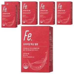 뉴트리모어 프리미엄 액상 철분, 300ml, 6개