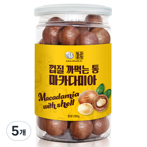 견과공장 껍질 까먹는 통 마카다미아, 280g, 5개