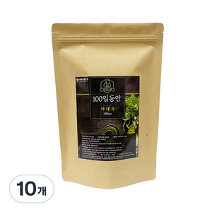 정앤정 100일동안 삼각티백 마테차, 1.2g, 100개입, 10개
