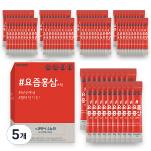 개성고려삼인 요즘홍삼스틱 100p, 5개, 1kg