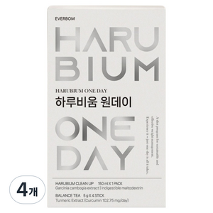 에버바이오 하루비움 원데이, 4회분, 4개