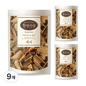 한방선생 사각 계피 특품, 600g, 1개입, 9개