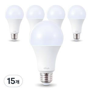 씨티오 LED 화이트 전구 15W, 주광색, 15개