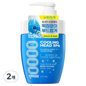 엘라스틴 쿨링 헤드 스파 10000 단백질 클리닉 트리트먼트 쿨멘솔향, 2개, 700ml