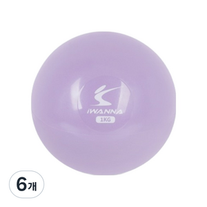 아이워너 토닝 웨이트볼, 오키드퍼플, 1kg, 6개