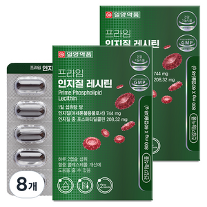 일양약품 프라임 인지질 레시틴 48g, 60정, 8개
