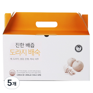 김재식헬스푸드 진한 배즙 도라지배숙 30p, 100ml, 5개