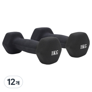 홈트러브 네오프렌 육각아령, 1kg, 12개