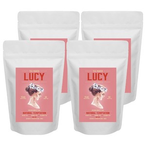 LUCY 허브차 프룻 심포니, 30개입, 4개