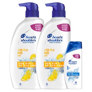 헤드앤숄더 시트러스 레몬 샴푸 시트러스향 800ml 2p + 딥클린 샴푸 프루티향 90ml, 1개, 1.69L