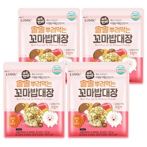 루솔 바로한끼 솔솔뿌려먹는 꼬마밥대장, 한우 앤 버섯맛, 20g, 4개