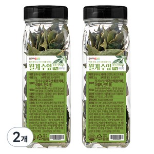 곰곰 월계수잎, 25g, 2개