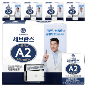 세브란스에이투 전용목장 단백우유, 125ml, 60개