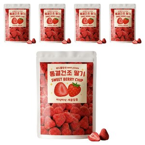 비니플랑센 동결건조 딸기 스윗베리칩, 110g, 5개