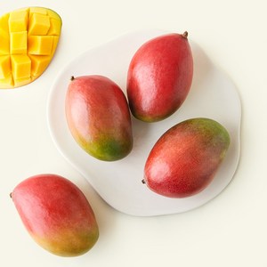 이웃마을 브라질산 애플망고, 1개, 1.9kg(4~5개입) 골드박스 특가