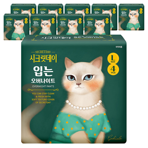시크릿데이 입는 오버나이트 팬티형, 대형, 4개입, 10개