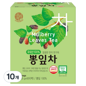 우리차 뽕잎차, 800mg, 40개입, 10개