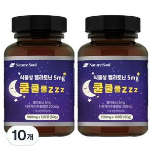 네이처소울 식물성 멜라토닌 5mg 쿨쿨쿨 zzz 60g, 10개, 120정