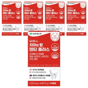 유한메디카 치아 엔 탑 덴티 플러스 72g, 60정, 5개