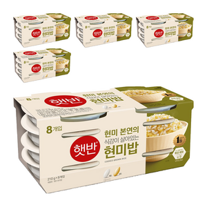 햇반 현미밥, 210g, 40개