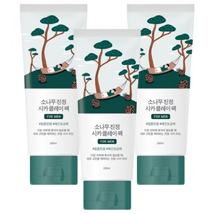 라운드랩 포 맨 소나무 진정 시카 클레이 팩 100ml, 3개, 1개입