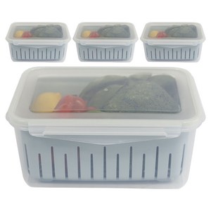 제오닉 야채 채소 과일 보관 물빠짐 채반 밀폐용기, 4개, 4L