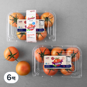 스윗토 스테비아 완숙토마토, 1kg, 6팩