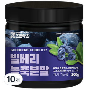 조은약초 빌베리 농축분말, 300g, 10개