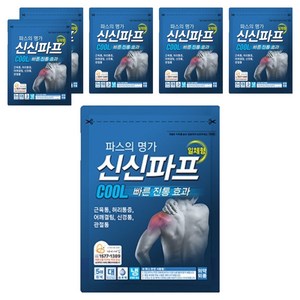 신신파스 신신파프 쿨, 5개입, 6개