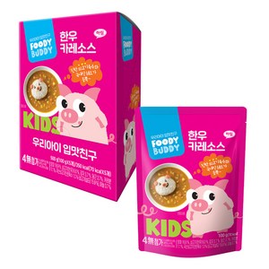 푸디버디 한우 소스, 카레맛, 100g, 5개
